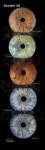 Jérémie MOLARO - F & F PHOTOGRAPHIE