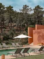 David LY - DAILY CORPO