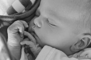 Manuel SUBASIC - CLAP IMAGES